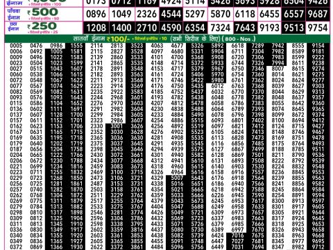 Rajshree Lottery Result Today