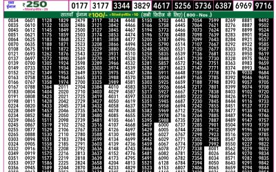 Rajshree 50 ravi weekly lottery 7.30pm result 25 May 2025