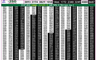 Rajshree 50 shani weekly lottery 7.30pm result 24 May 2025