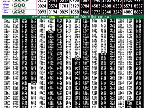 Rajshree Lottery Result Today