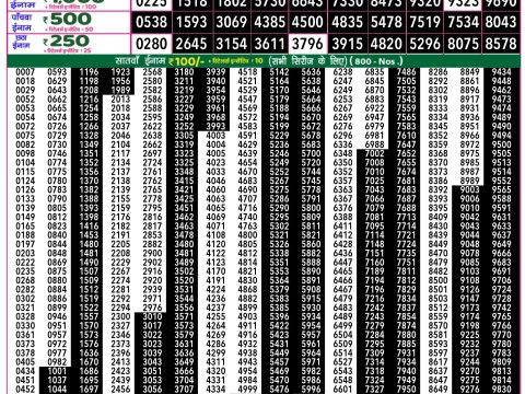 Rajshree Lottery Result Today