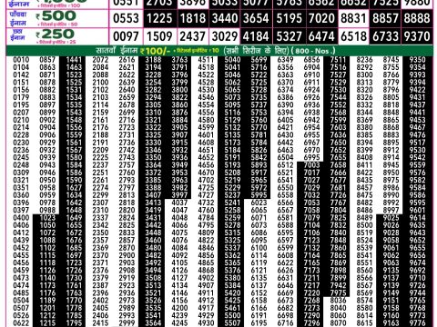 Rajshree Lottery Result Today