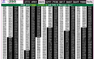 Rajshree 50 som weekly lottery 7.30pm result 12 May 2025