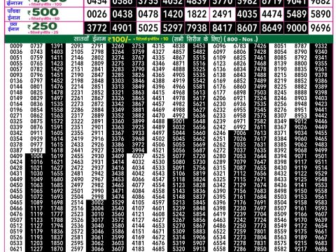 Rajshree Lottery Result Today