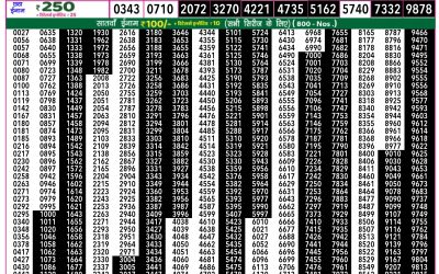 Rajshree 50 som weekly lottery 7.30pm result 19 May 2025