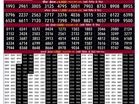 Rajshree Lottery Result Today
