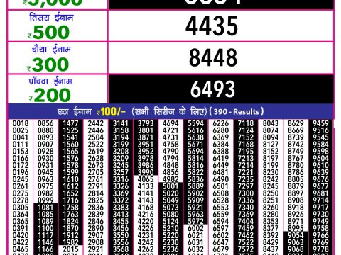 Rajshree Lottery Result Today
