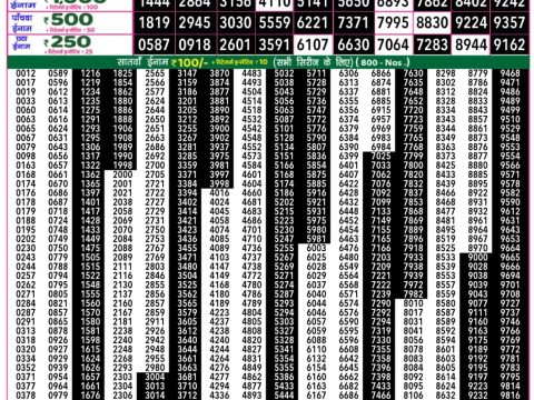 Rajshree Lottery Result Today