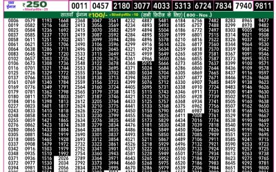 Rajshree 50 som weekly lottery 7.30pm result 16 June 2025