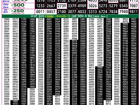 Rajshree Lottery Result Today