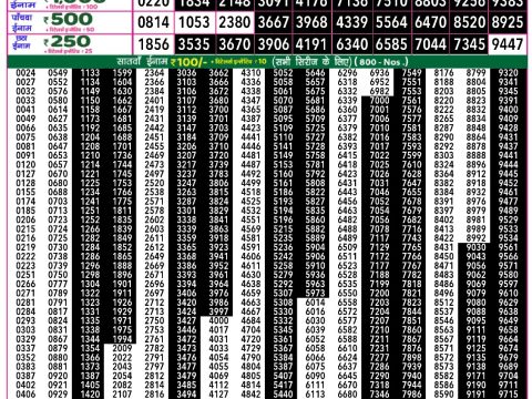 Rajshree Lottery Result Today