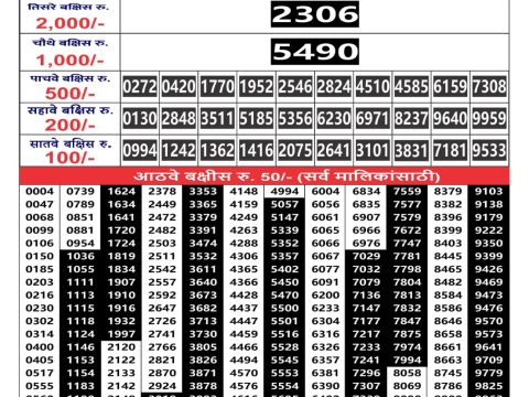 Rajshree Lottery Result Today