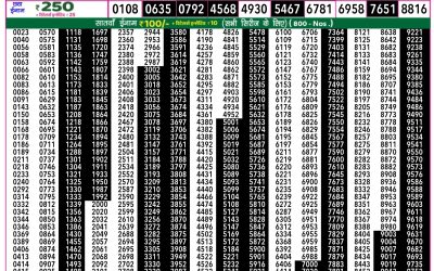 Rajshree 50 Shukra weekly lottery 7.30pm result 27 June 2025