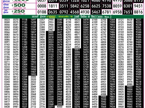 Rajshree Lottery Result Today