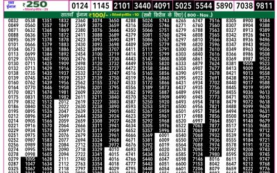 Rajshree 50 Budh weekly lottery 7.30pm result 4 June 2025