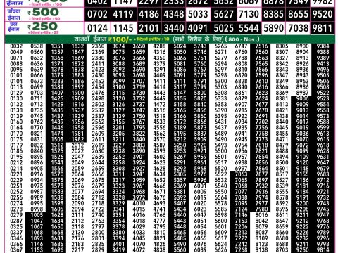 Rajshree Lottery Result Today