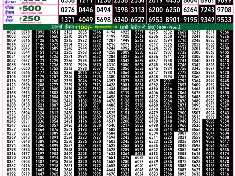 Rajshree Lottery Result Today