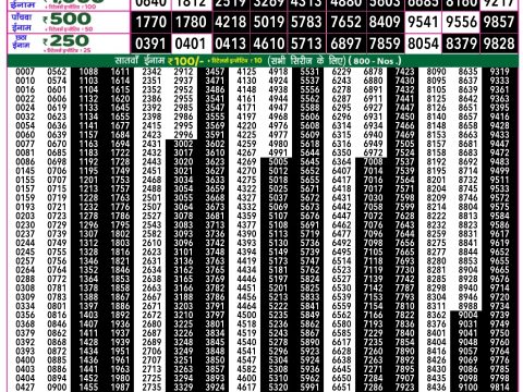 Rajshree Lottery Result Today