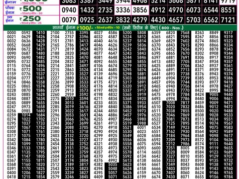 Rajshree Lottery Result Today