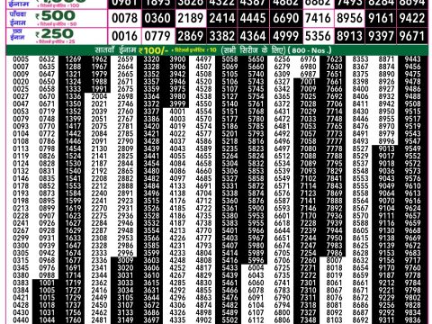 Rajshree Lottery Result Today