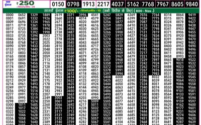 Rajshree 50 mangal weekly lottery 7.30pm result 10 June 2025