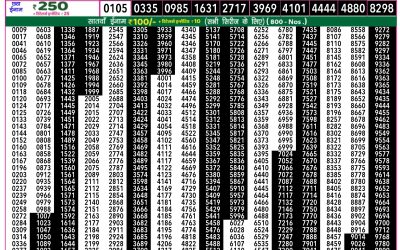 Rajshree 50 ravi weekly lottery 7.30pm result 1 June 2025