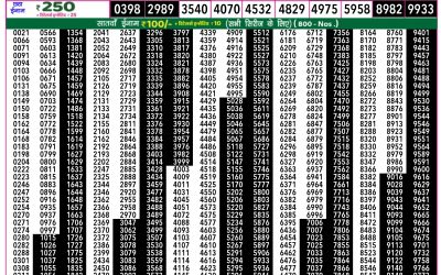 Rajshree 50 ravi weekly lottery 7.30pm result 8 June 2025