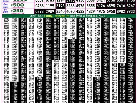 Rajshree Lottery Result Today