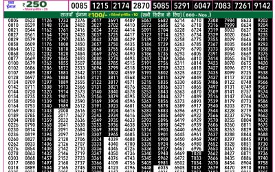 Rajshree 50 ravi weekly lottery 7.30pm result 15 June 2025