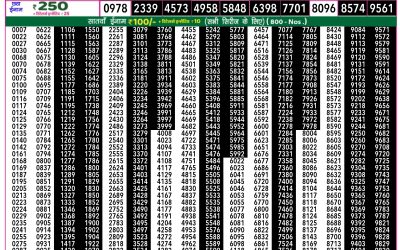 Rajshree 50 ravi weekly lottery 7.30pm result 29 June 2025