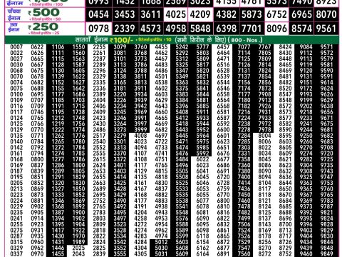 Rajshree Lottery Result Today