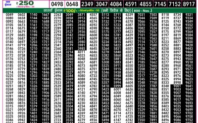 Rajshree 50 shani weekly lottery 7.30pm result 7 June 2025