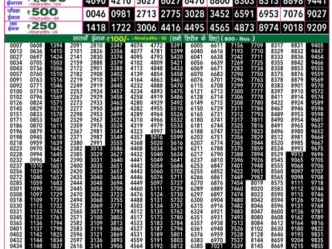 Rajshree Lottery Result Today
