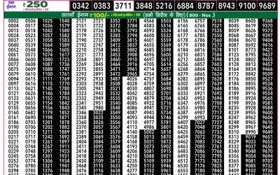 Rajshree 50 shani weekly lottery 7.30pm result 21 June 2025