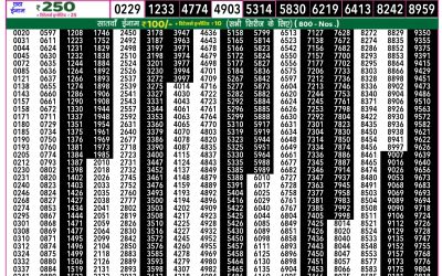 Rajshree 50 Shukra weekly lottery 7.30pm result 13 June 2025