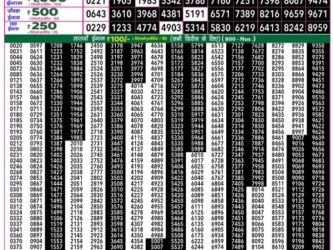 Rajshree Lottery Result Today