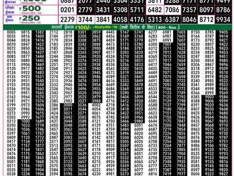 Rajshree Lottery Result Today