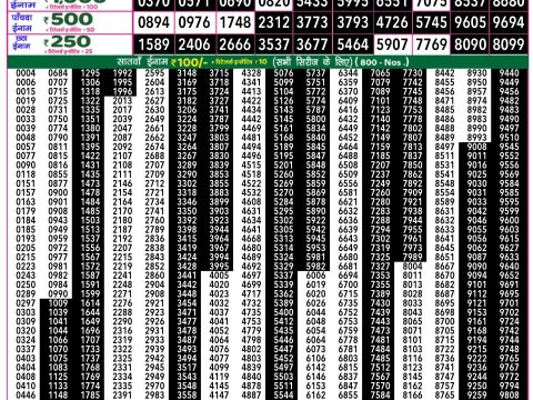Rajshree Lottery Result Today