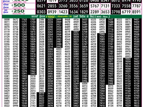 Rajshree Lottery Result Today