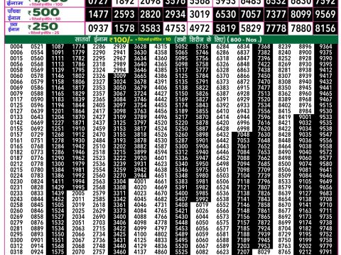 Rajshree Lottery Result Today