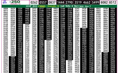 Rajshree 50 Som weekly lottery 7.30pm result 30 June 2025