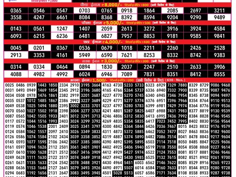 Rajshree Lottery Result Today