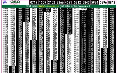 Rajshree 50 Budh Weekly Lottery 7.30pm Result 30 July 2025