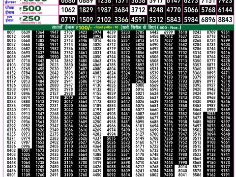 Rajshree Lottery Result Today