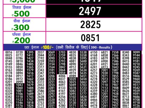Rajshree Lottery Result Today