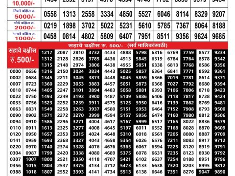 Rajshree Lottery Result Today