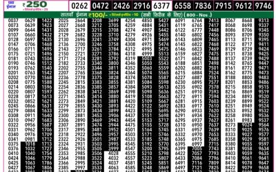 Rajshree 50 Mangal Weekly Lottery 7.30pm Result 29 July 2025