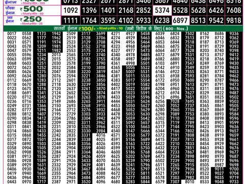 Rajshree Lottery Result Today