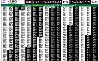 Rajshree 50 Guru Weekly Lottery 7.30pm Result 24 July 2025