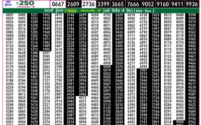 Rajshree 50 Guru Weekly Lottery 7.30pm Result 31 July 2025
